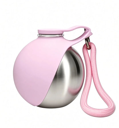 Stainless Steel Portable Water Bottle