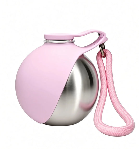 Stainless Steel Portable Water Bottle